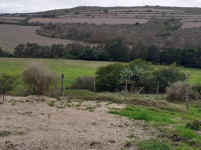 0 Bedroom Property for Sale in Albertinia Western Cape